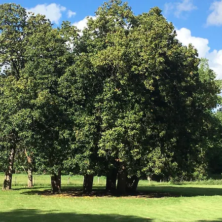 Chateau Vary فندق مبيت وإفطار