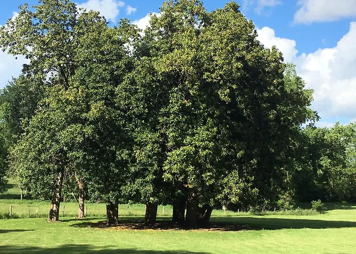 Chateau Vary Bed & Breakfast